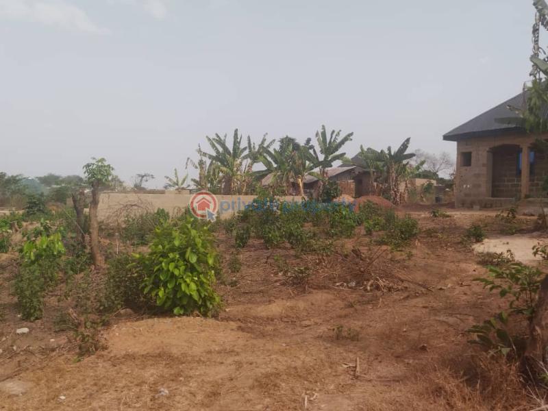 Residential Land For Sale Ojo Ekun, Asunle, Akala Express Ibadan Oyo - 7