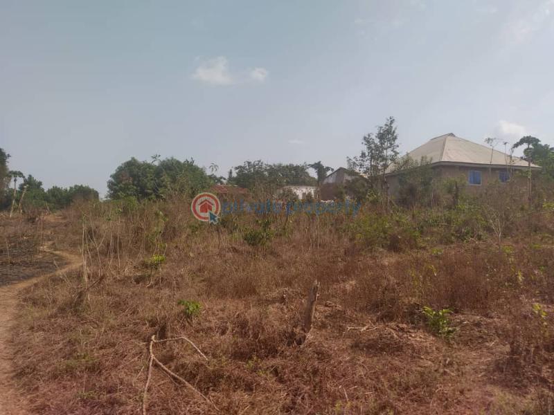 Residential Land For Sale Ojo Ekun, Asunle, Akala Express Ibadan Oyo - 1