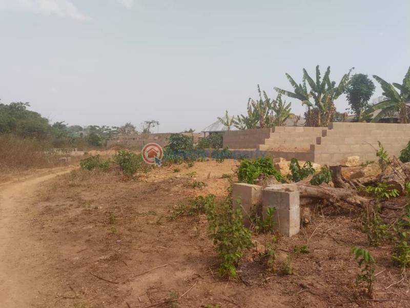Residential Land For Sale Ojo Ekun, Asunle, Akala Express Ibadan Oyo - 5