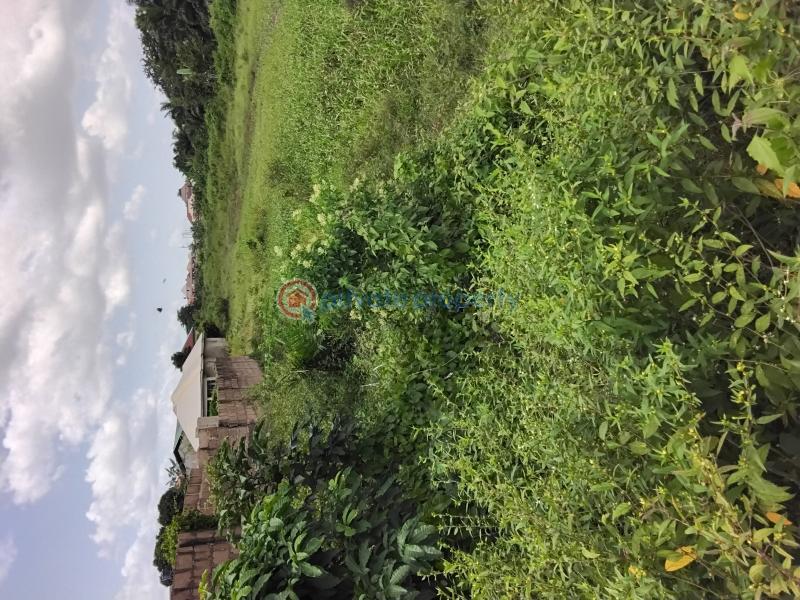 4 flats built to lintel level on two plots of land - 2 Residential Land For Sale Adebomi Street, Ayegun Oleyo Oluyole Estate Ibadan Oyo - 2