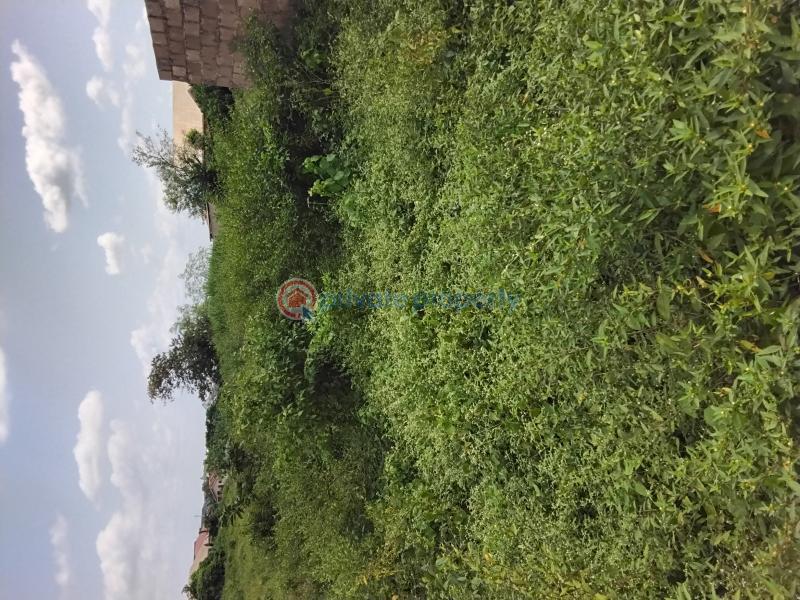 4 flats built to lintel level on two plots of land - 1 Residential Land For Sale Adebomi Street, Ayegun Oleyo Oluyole Estate Ibadan Oyo - 1