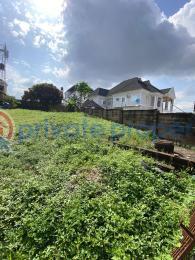Residential Land For Sale Kolapo Ishola Gra Akobo Ibadan Oyo - 0