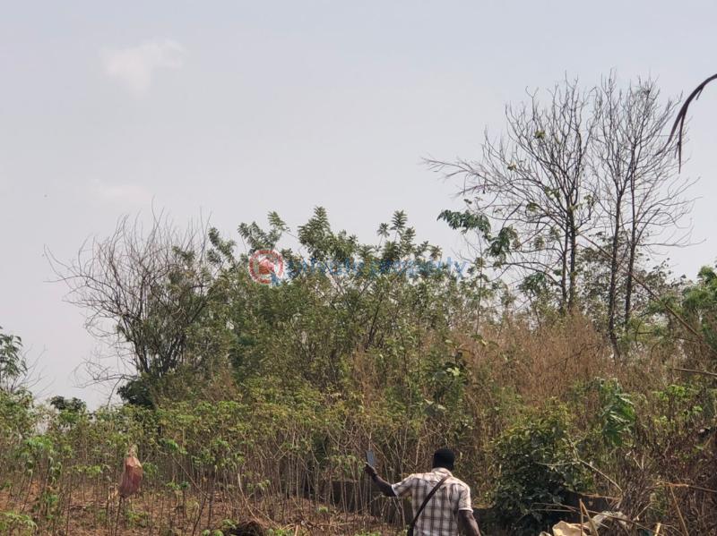 Residential Land For Sale Apete Ibadan Oyo - 4