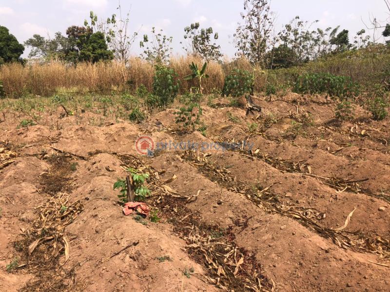 Residential Land For Sale Apete Ibadan Oyo - 1