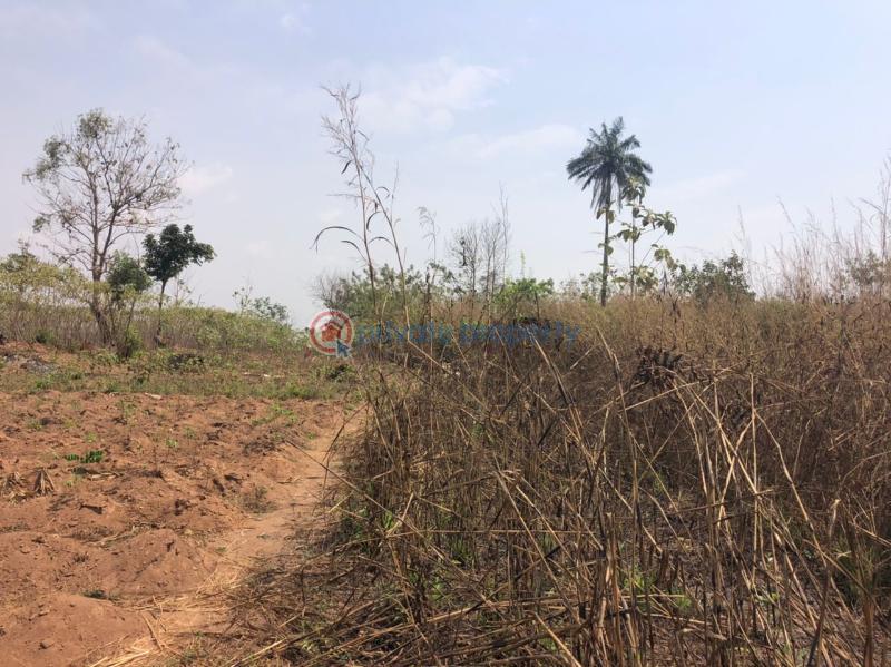 Residential Land For Sale Apete Ibadan Oyo - 9
