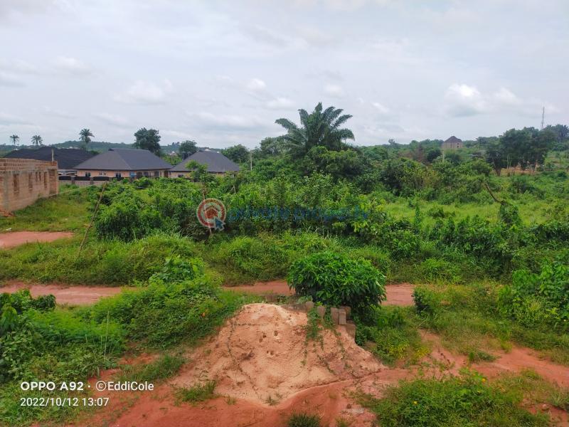 For sale Land Ovbiogbe Community Along Benin Lagos Express Way Benin
