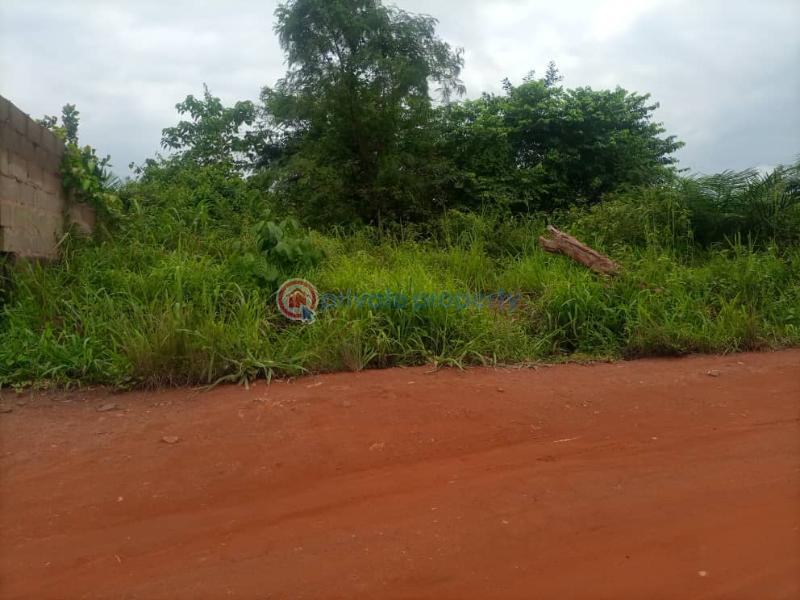 Land For Sale Ogun State Ogun Ogun area  - 4
