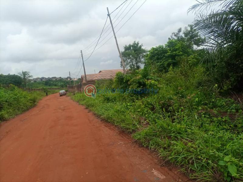 Land For Sale Ogun State Ogun Ogun area  - 3