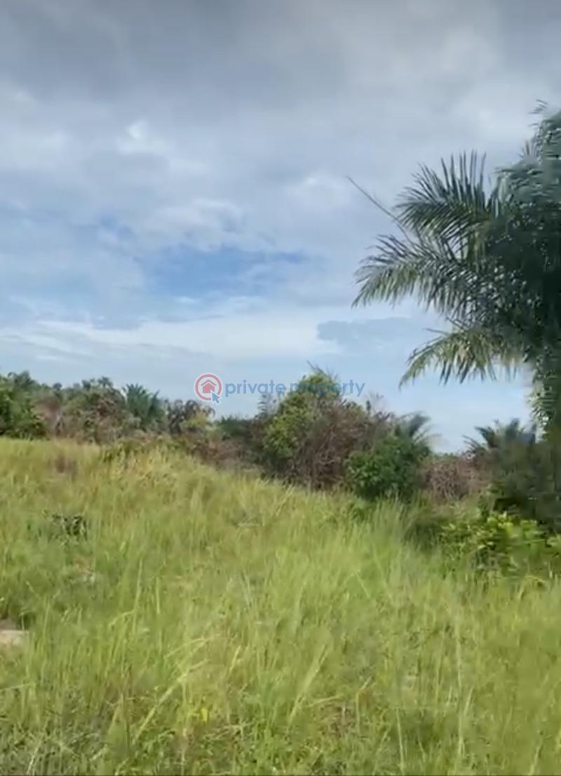 Commercial Land For Sale Akodo Ise Ibeju-Lekki Lagos - 1