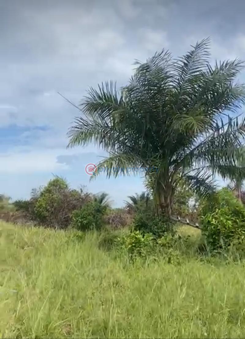 Commercial Land For Sale Akodo Ise Ibeju-Lekki Lagos - 3