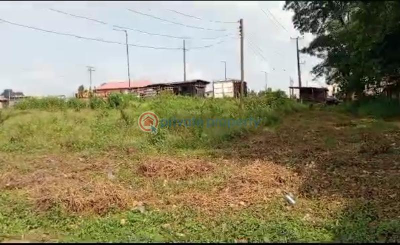Land For Sale Air Port Alakia Second Gate Ibadan Oyo - 1