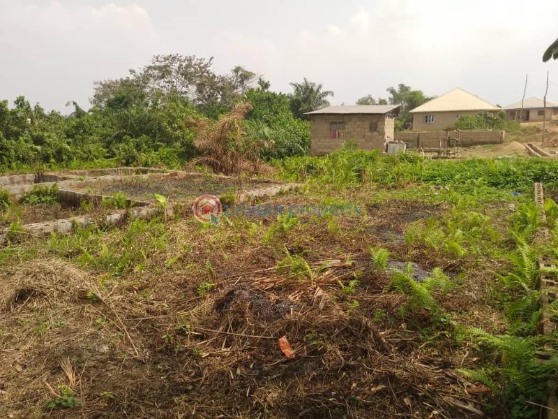 Residential Land For Sale Lagbeja Akingbile Moniya Ibadan Oyo - 1