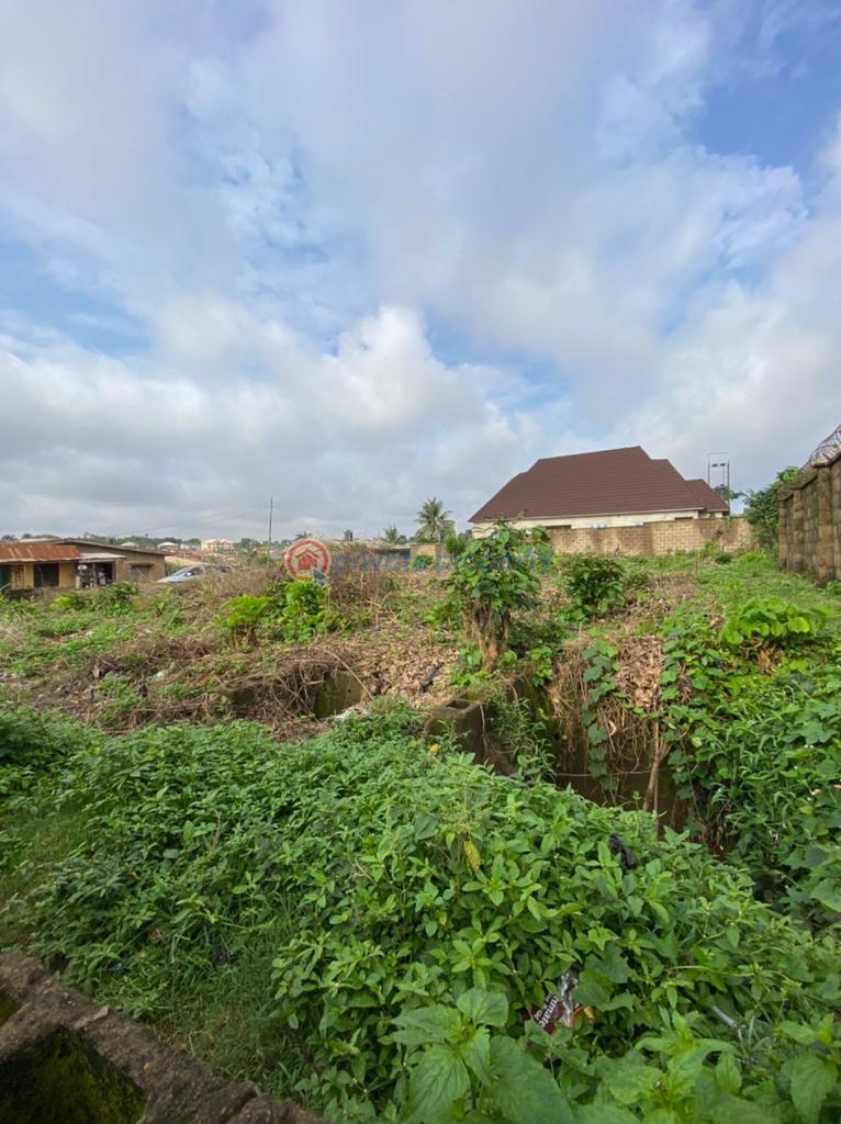 Residential Land For Sale Babligton Street Aiyegoro Estate Akobo Geobrk Akobo Ibadan Oyo - 2