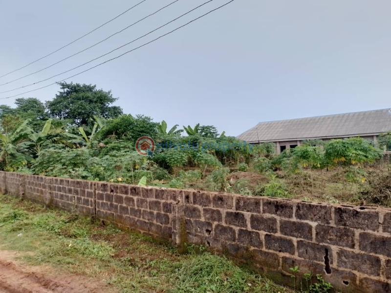Land For Sale Atan Ota Ogun area  - 5