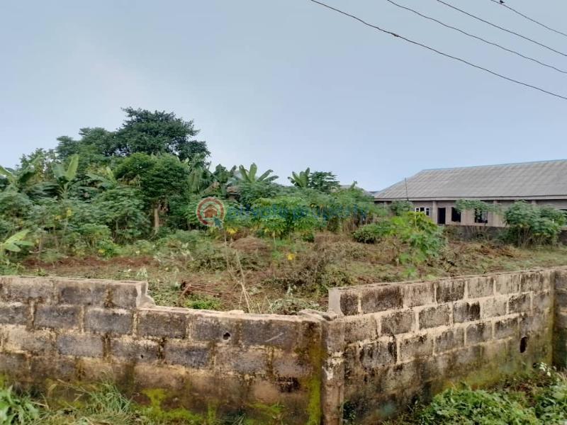 Land For Sale Atan Ota Ogun area  - 6