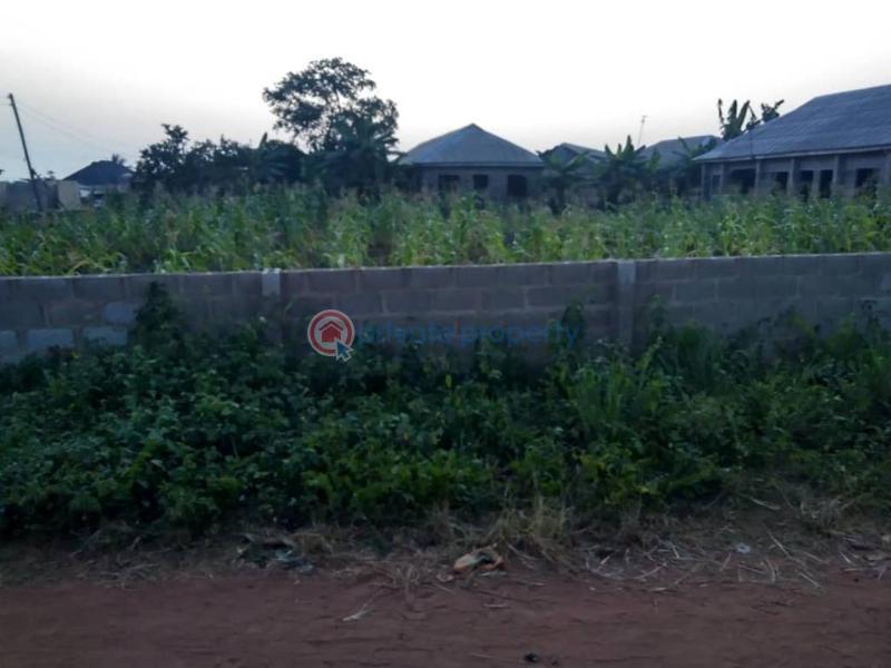 Land For Sale Atan Ota Ogun area  - 2
