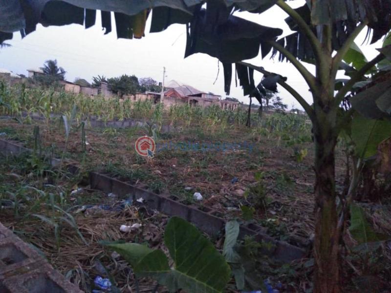 Land For Sale Atan Ota Ogun area  - 3