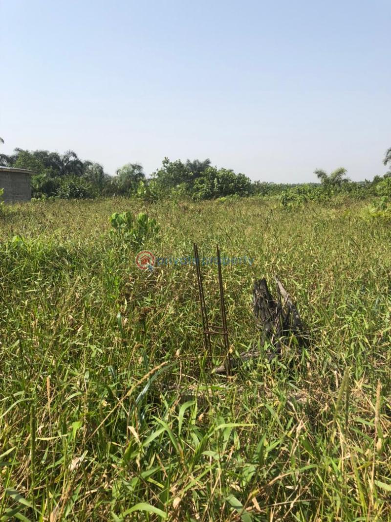 Residential Land For Sale Oribanwa Ibeju-Lekki Lagos - 3