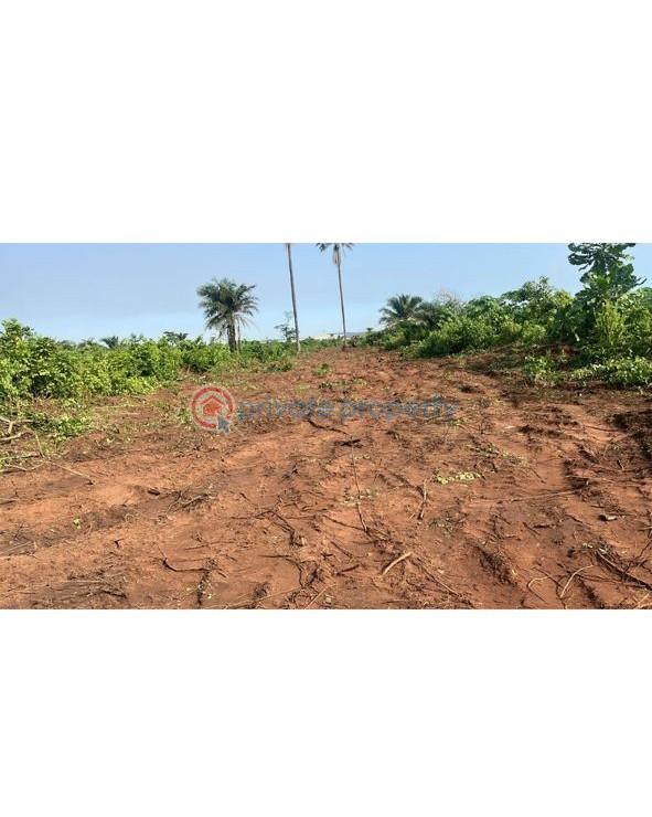 Land For Sale Atan Ota, Ado Odo/ota, Ogun Ogun area  - 1