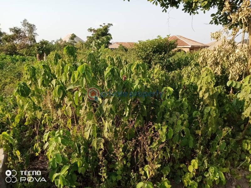 Land For Sale Olororo Street, Apete Ibadan Oyo - 2