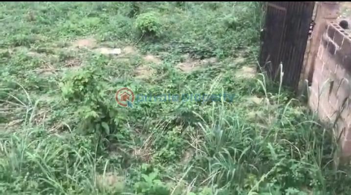Land For Sale Opposite Alheri Hotel Akala Express Akala Express Ibadan Oyo - 4