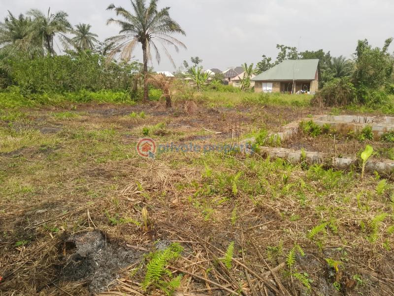 Residential Land For Sale Lagbeja Akingbile Moniya Ibadan Oyo - 2