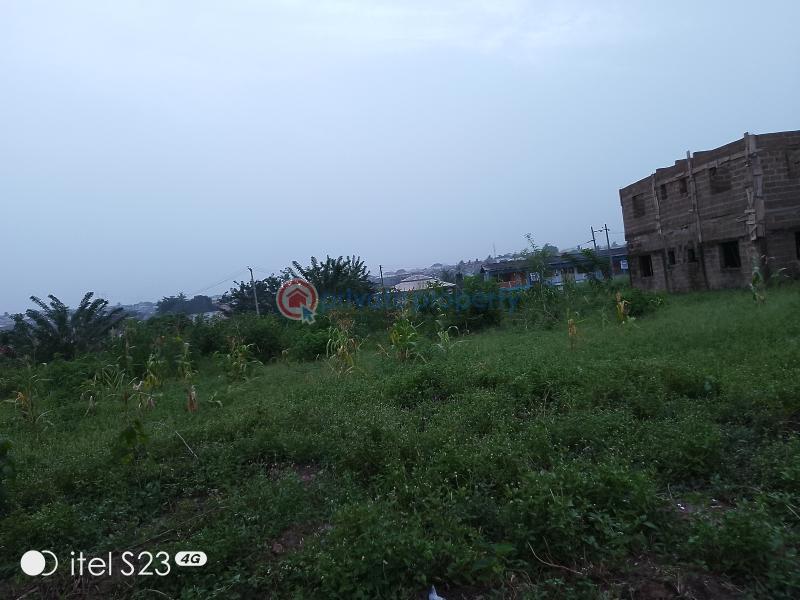 Land For Sale White & Gold Gate Sharp Corner Oluyole Estate Oluyole Estate Ibadan Oyo - 0