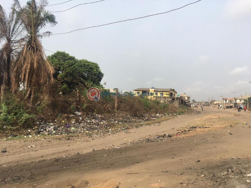 Land For Sale At Afromedia Area Ajangbadi Lagos Ajangbadi Ojo Lagos - 1