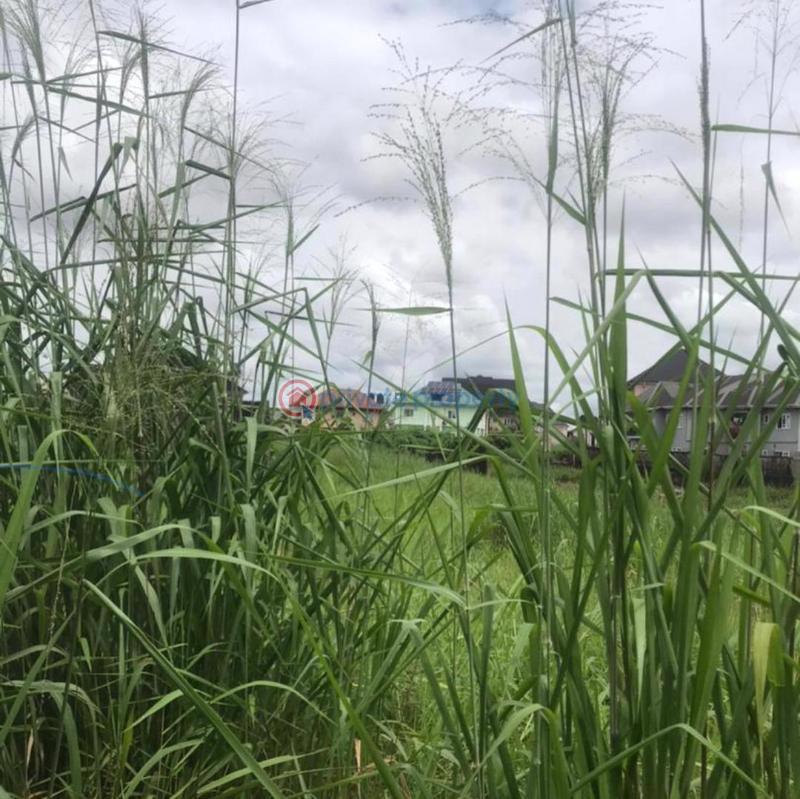 2 bedroom Land For Sale Nta Port Harcourt Rivers - 4