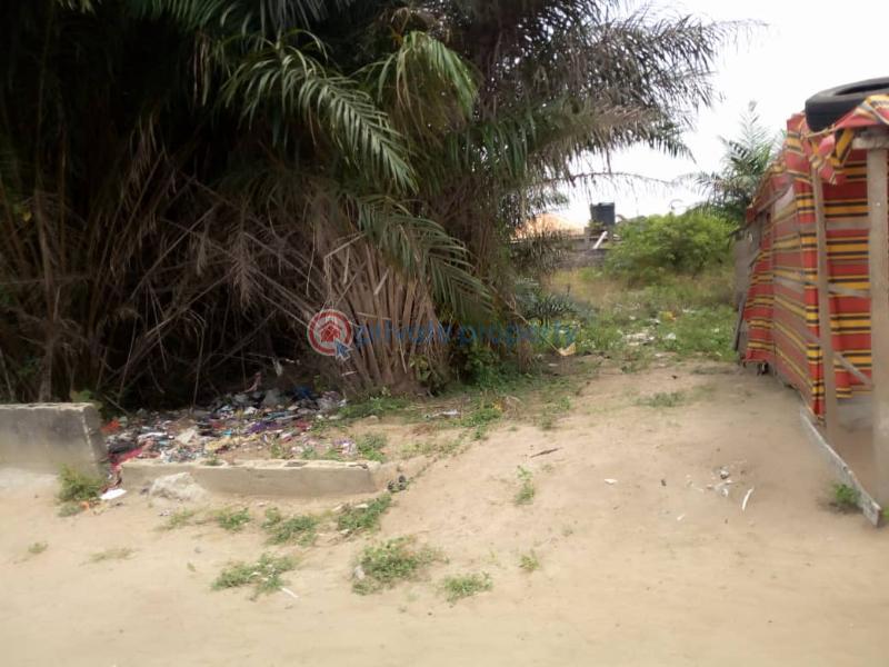 Residential Land For Sale Aiyenibiyi Street Ogunfayo Lekki Awoyaya Ajah Lagos - 4