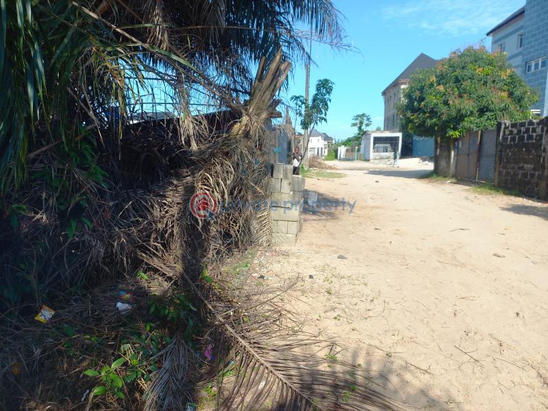 Residential Land For Sale Aiyenibiyi Street Ogunfayo Lekki Awoyaya Ajah Lagos - 2