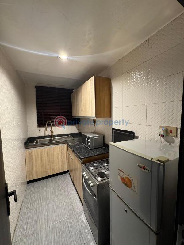 Fully furnished 1 bedroom apartment in lekki phase 1 - 9 1 bedroom Flat & Apartment For Rent Lekki Phase 1 Lagos - 9