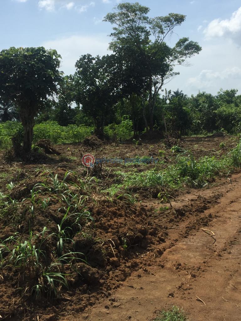 Land For Sale Port Harcourt Rivers (PID 4PAGMH) Private Property