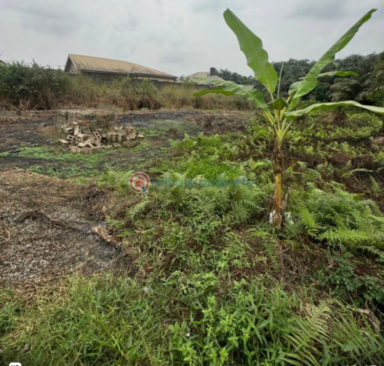 Land For Sale Obafemi Owode Ogun - 0