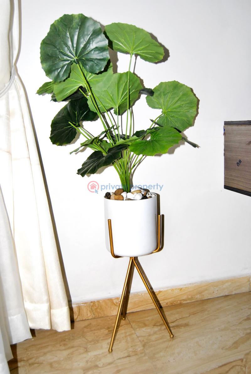 1 bedroom Mini Flat For Sale Thomas Animashaun Aguda  Surulere Lagos - 18