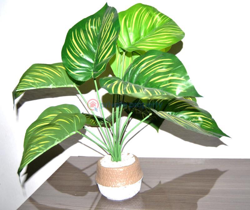 1 bedroom Mini Flat For Sale Thomas Animashaun Aguda  Surulere Lagos - 21