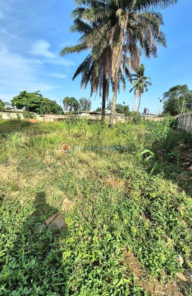 Commercial Land For Sale Olowora Ojodu Lagos