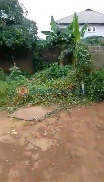 Land For Sale Baruwa Ipaja Lagos - 17