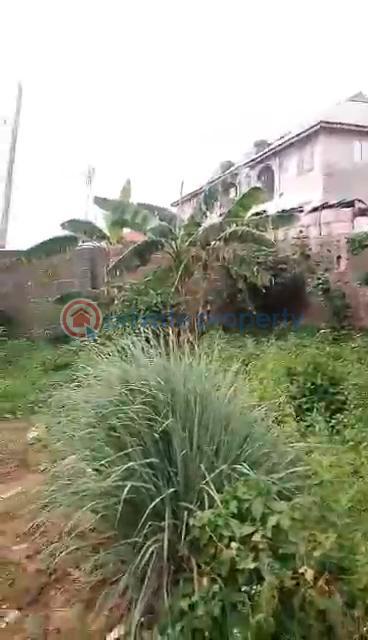 Land For Sale Baruwa Ipaja Lagos - 14
