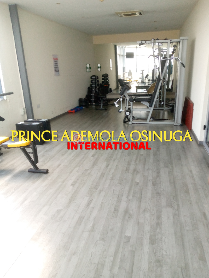 3 bedroom Flat & Apartment For Rent Kofo Abayomi Victoria Island Lagos - 3