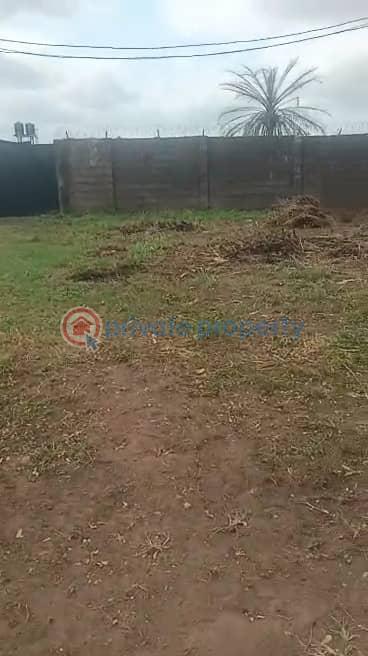 Land For Sale Ajoke Estate, Fagba Ifako Ijaiye Abule Egba Lagos - 1
