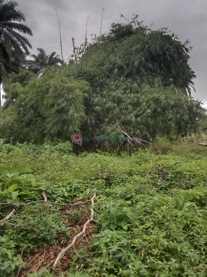 Residential Land For Sale Offa Kwara - 1