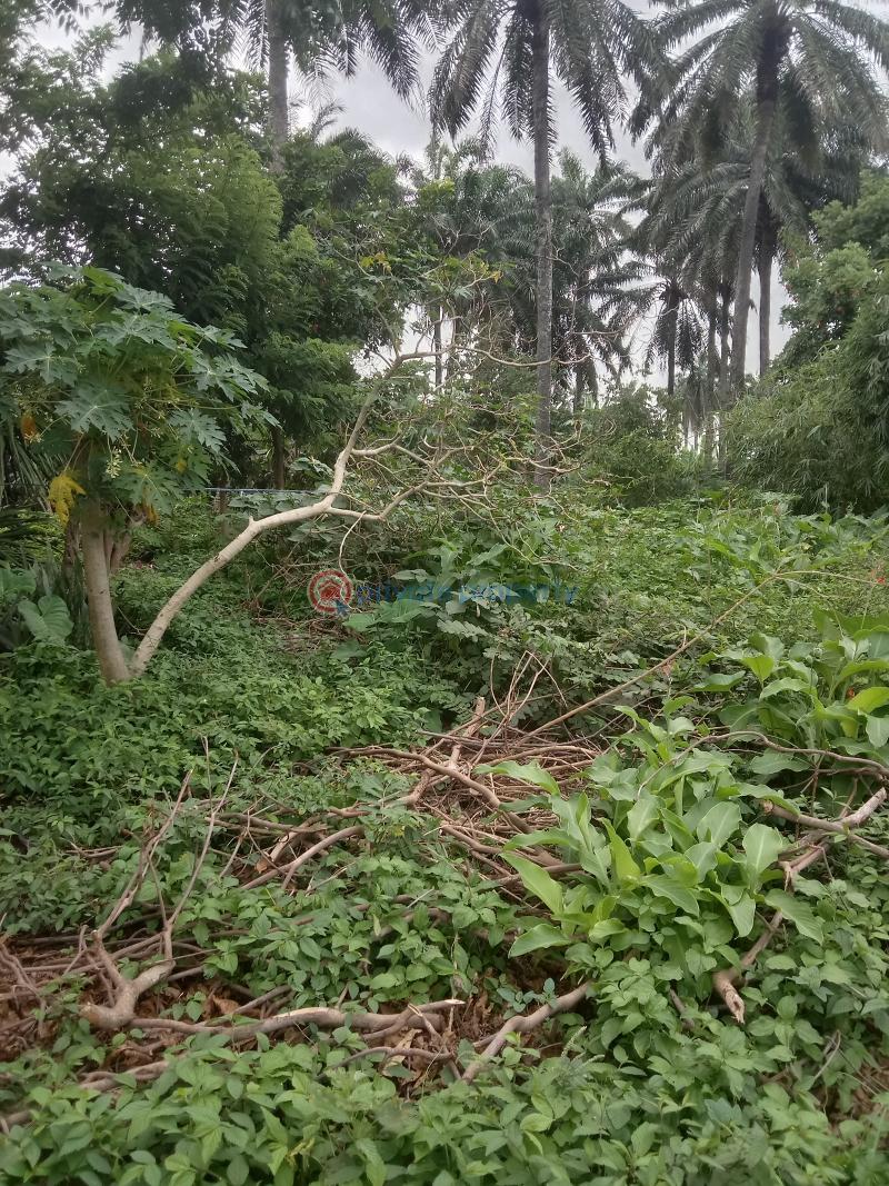 Residential Land For Sale Offa Kwara - 2