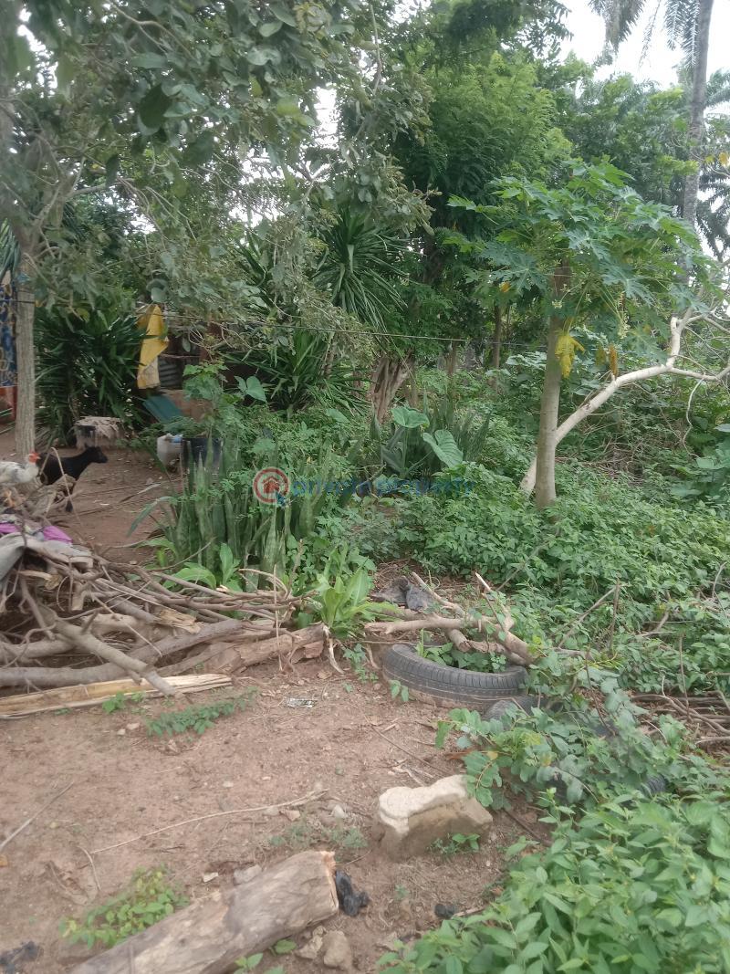 Residential Land For Sale Offa Kwara - 0