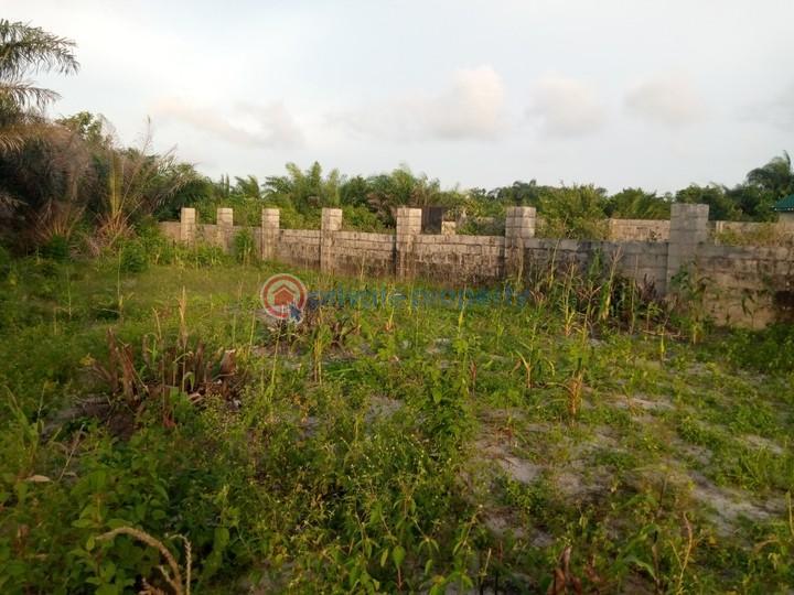 Land For Sale Ibusa Main Town Asaba Delta