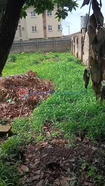 Land For Sale Puposola Road Abule Egba Lagos - 3