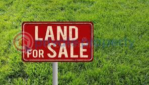 Land For Sale Ikate Elegushi Lekki Lagos