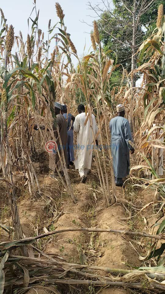Factory For Sale Kano Municipal  - 2