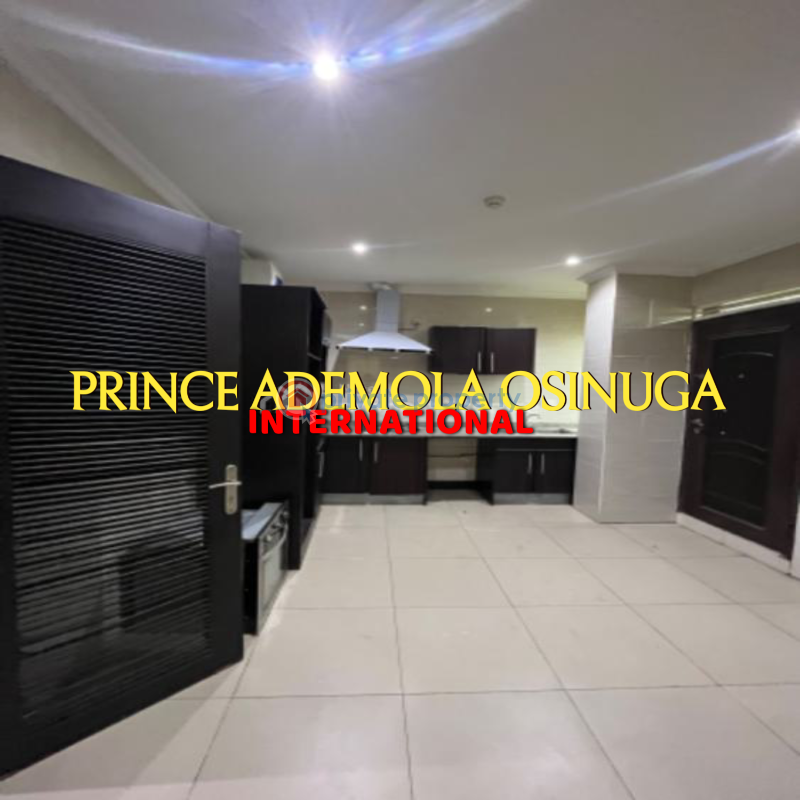 3 bedroom House For Rent Old Ikoyi Lagos - 8