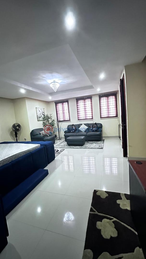 Luxury 4 bedroomm well furnished apartment - 11 4 bedroom Shared Apartment For Rent Ikoyi Lagos - 11